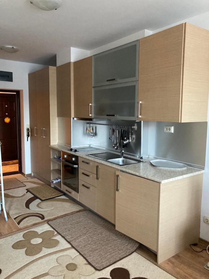 Studio Detelina Residence Bansko Exteriér fotografie