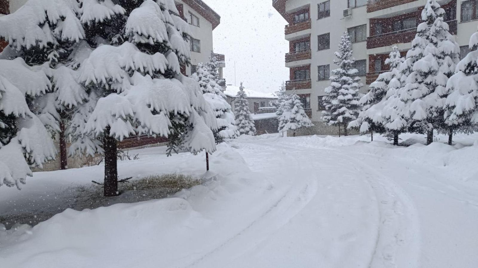 Studio Detelina Residence Bansko Exteriér fotografie